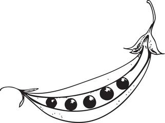 peas in pod line art isolated on white