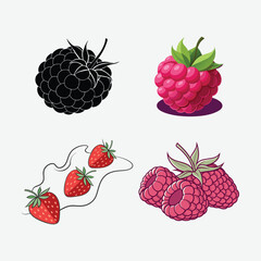 Assorted berries including strawberries raspberries and a blackberry.