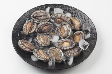 A general term for abalone and other shellfish.