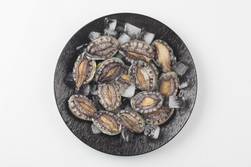 A general term for abalone and other shellfish.