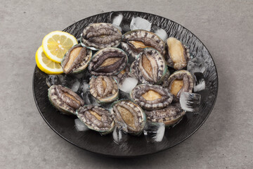 A general term for abalone and other shellfish.