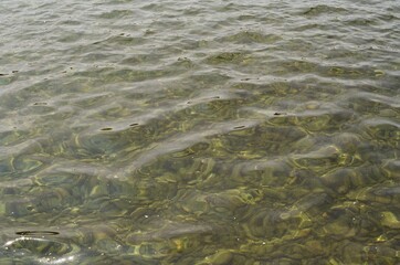 water and waves
