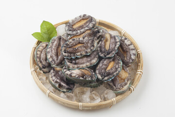 A general term for abalone and other shellfish.