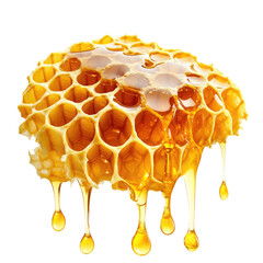Golden Honeycomb Dripping with Fresh Honey isolated on transparent white background, clipping path