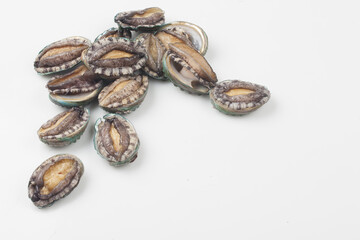 A general term for abalone and other shellfish.