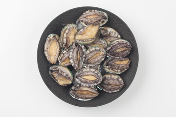 A general term for abalone and other shellfish.