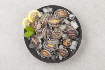 A general term for abalone and other shellfish.