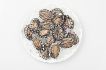A general term for abalone and other shellfish.