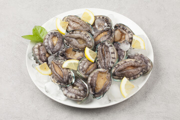 A general term for abalone and other shellfish.
