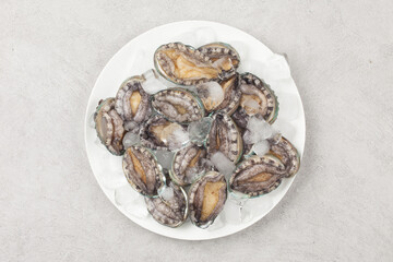 A general term for abalone and other shellfish.