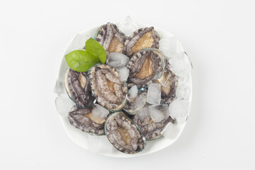 A general term for abalone and other shellfish.