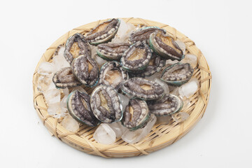 A general term for abalone and other shellfish.
