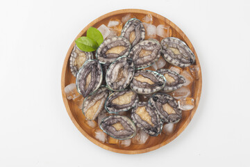 A general term for abalone and other shellfish.