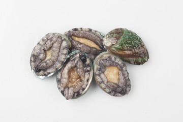 A general term for abalone and other shellfish.