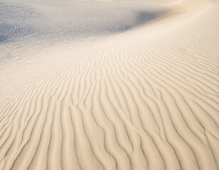 Fototapeta premium white sand texture sandy beach as background