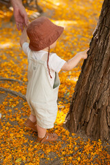 A baby boy takes his first steps park, extends a small finger toward the textured bark of a tree, captivated by its rough surface. The moment captures pure curiosity and the wonder of early discovery.