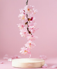pink podium display. Sakura pink flower falling. Cosmetic or beauty product promotion step floral, pastel pedestal. Abstract minimal advertise.