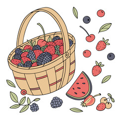  Una canasta de mimbre llena de bayas frescas como frambuesas, fresas, moras, arándanos y cerezas. Alrededor hay frutas sueltas, como sandía y grosellas, sobre fondo blanco.

