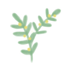 cactus isolated on white