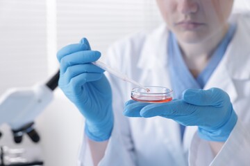 Scientist working with sample in Petri dish in laboratory, closeup