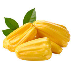 Jackfruit with Pods, with Leaves isolated on white or transparent png