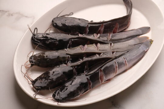 raw catfish on a white ceramic plate