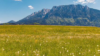 Alpine spring view at Point, Ebbs, Kufstein, Tyrol, Austria