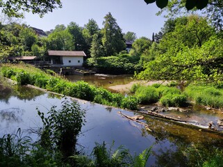 japanese garden with pond