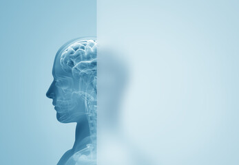x ray of human head with space for copy