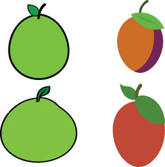 Fresh bundle of green guava and jambul fruit isolated on white background, tropical summer harvest, natural juicy seasonal produce for healthy food, organic vegetarian fruit collection stock image