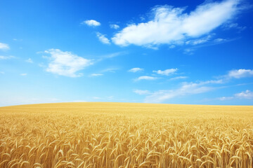 Naklejka premium Golden Wheat Field under Blue Sky with Clouds