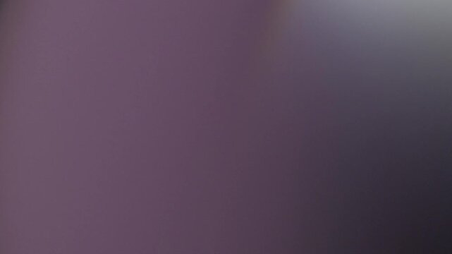 Purple Bright transition video and overlay