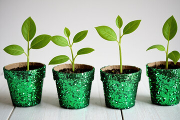 Fototapeta premium Three small green pots with plants inside, ideal for gardening or kitchen decor