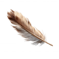 A detailed brown and beige bird feather with soft barbs and a central quill, showcasing natural texture and fine strands.