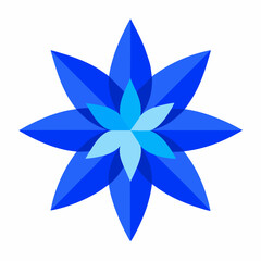 Blue Star flower on white background 