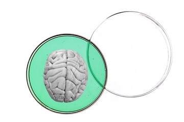 Mental health research, conceptual illustration