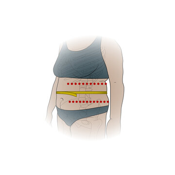 Correct placement for waist measurement, illustration