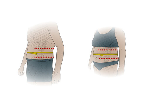 Correct placement for waist measurement, illustration