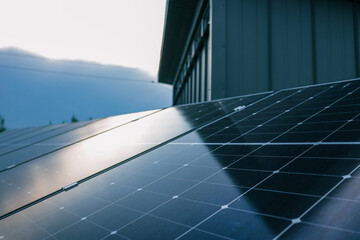 Close-up of solar panel surface reflecting soft evening sky light, highlighting clean energy...