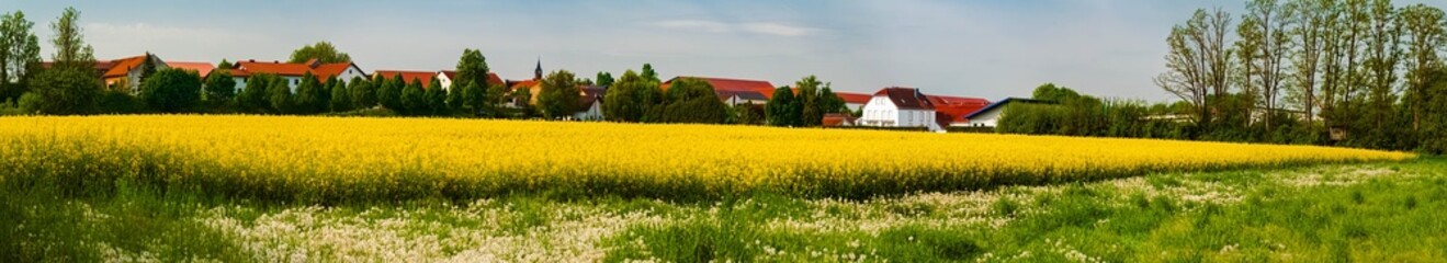 High resolution stitched spring panorama with yellow rapeseed fields near Tabertshausen, Aholming,...