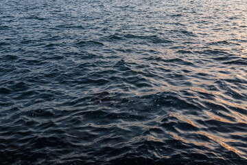 Ocean water with gentle movement during sunset, soft golden reflections and small ripples on the surface captured in Greek coastal light.Evening waves with golden light reflections over calm sea