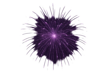 Purple fireworks exploding against a transparent background, creating a vibrant display of light and color