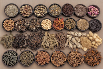 Various Traditional Chinese Herbal Medicine Ingredients Displayed as Background Concept