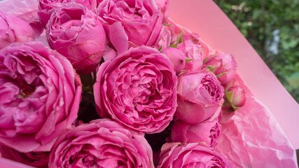 Bouquet of pink roses in a large plain. Pink roses wrapped in pink paper