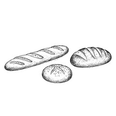 Set of loaf of bread. French baguette slices and crumbs. Rye rounde rustic bread or whole grain baked bread. Free copy space. Vector sketch realistic line vintage illustration