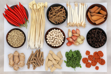 Various Traditional Chinese Herbal Medicine Ingredients Displayed as Background Concept