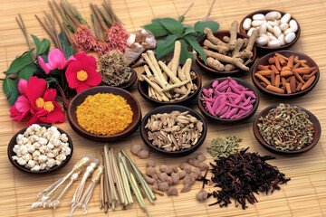 Various Traditional Chinese Herbal Medicine Ingredients Displayed as Background Concept