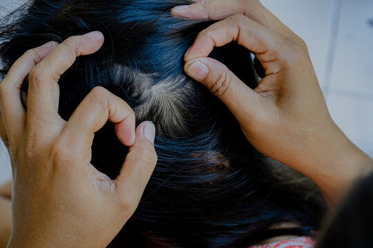 closeup of hands looking for lice in hair