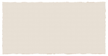 Torn dotted paper vector background. Beige notebook sheet with rough edges and subtle grid dots, perfect for stationery, planner, and bullet journal designs. Realistic texture for creative projects