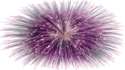  Spectacular large-scale firework burst with dramatic light trails on transparent background